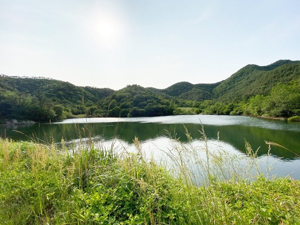 학송제