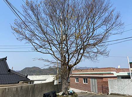 01_g_02_03.jpg