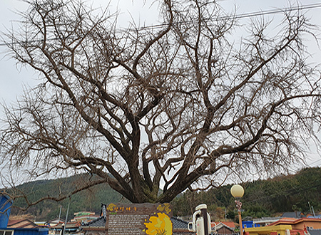 10_d_02_07.jpg